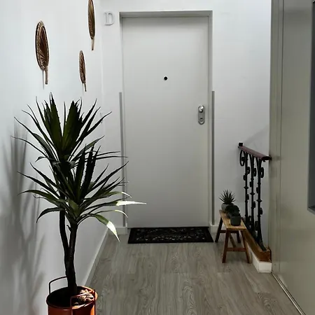 New Chill Лиссабон