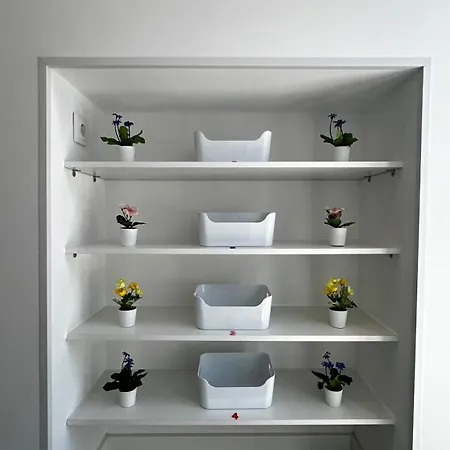 New Chill Проживание в семье