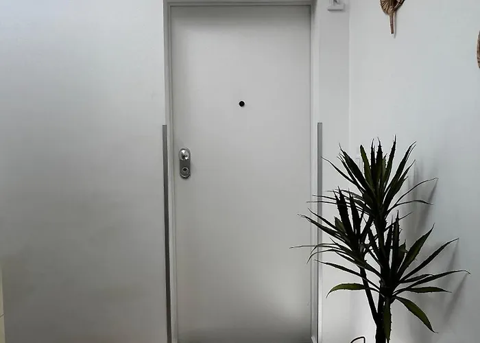 New Chill Проживание в семье *