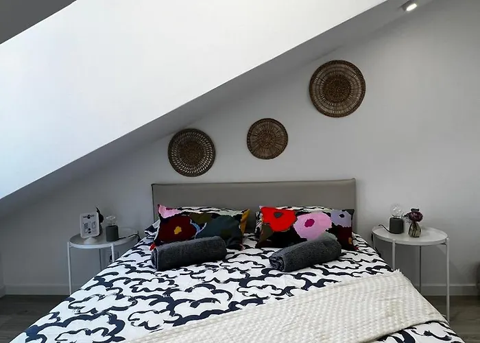 New Chill Проживание в семье