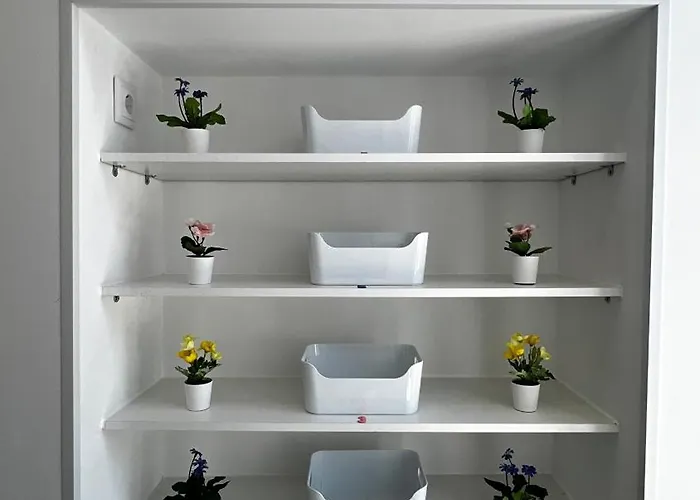 New Chill Проживание в семье